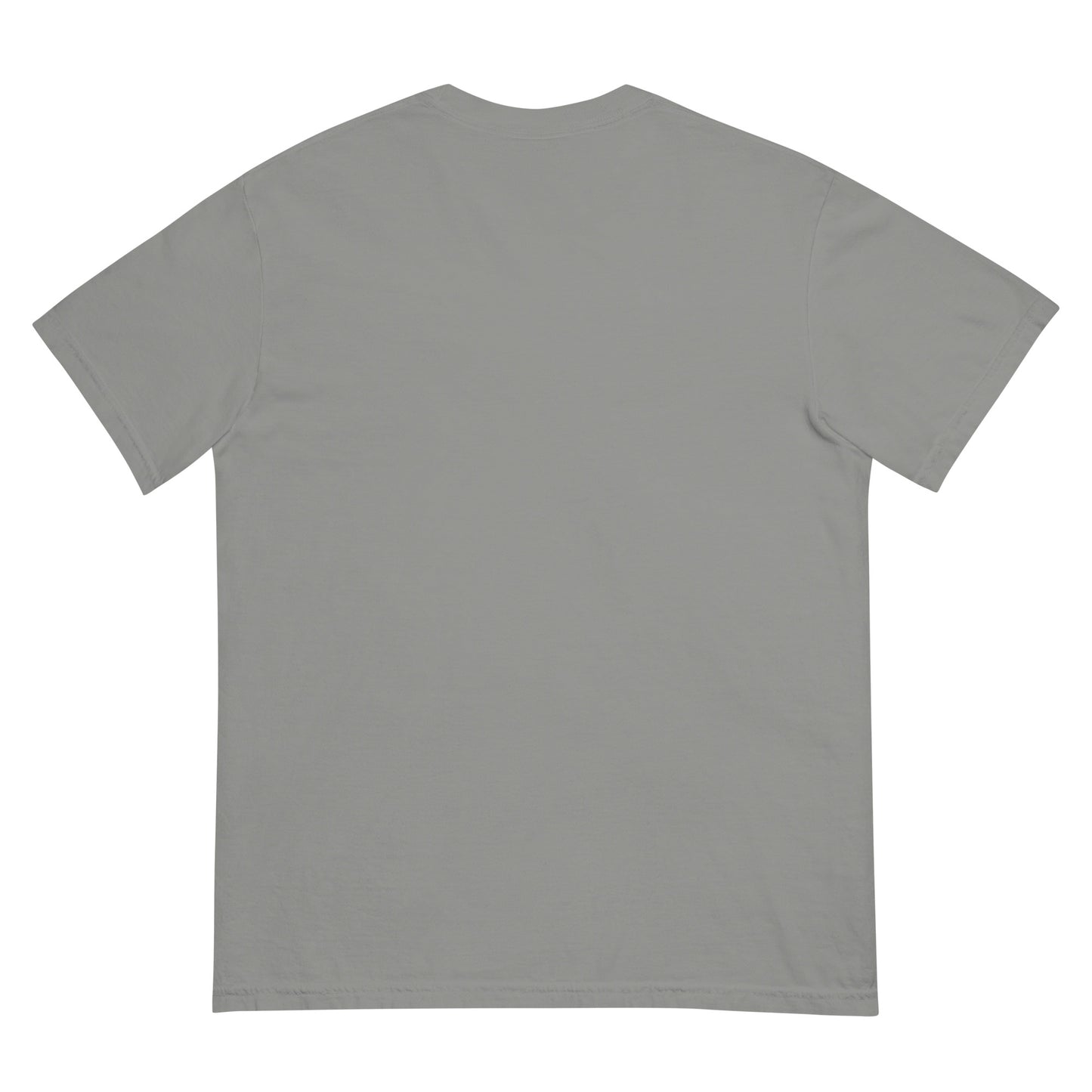 Growth & Discipline t-shirt back view grey garment-dyed heavyweight cotton