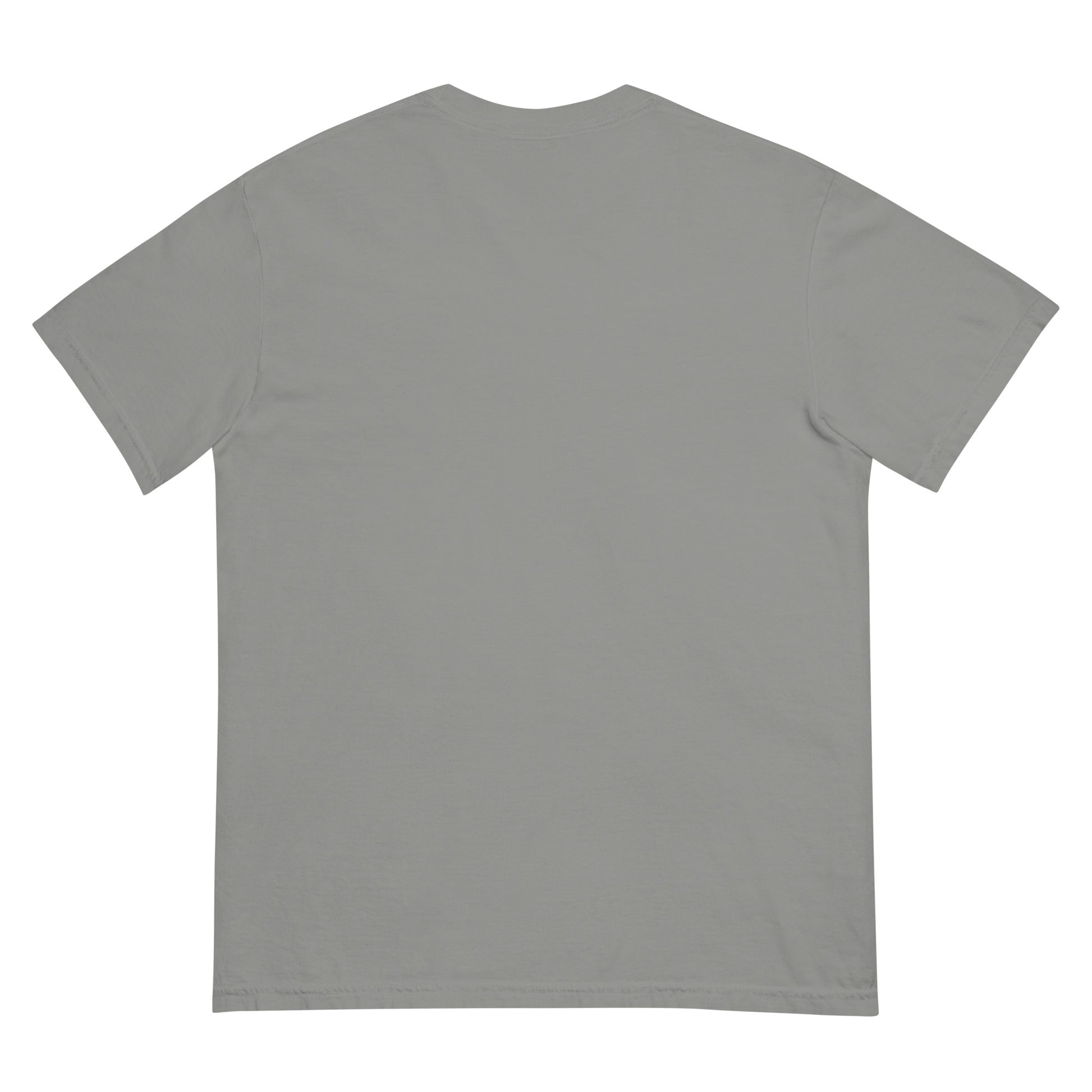 Growth & Discipline t-shirt back view grey garment-dyed heavyweight cotton